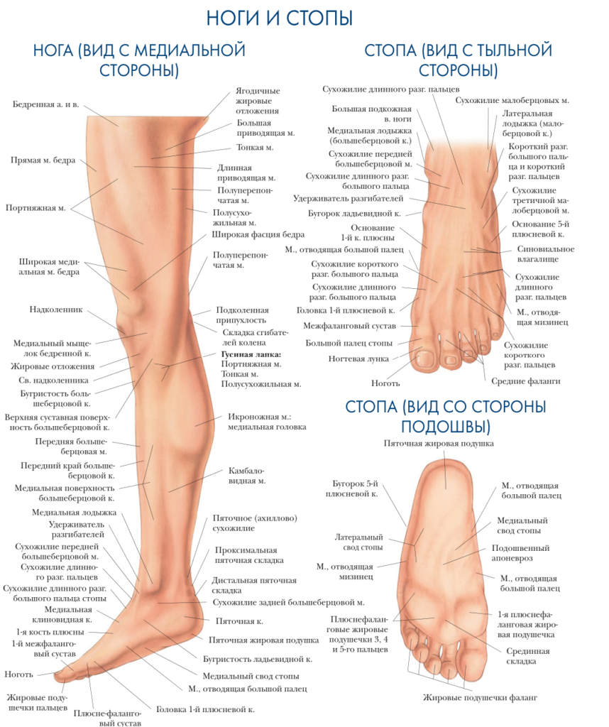 Симптомы онемения ног